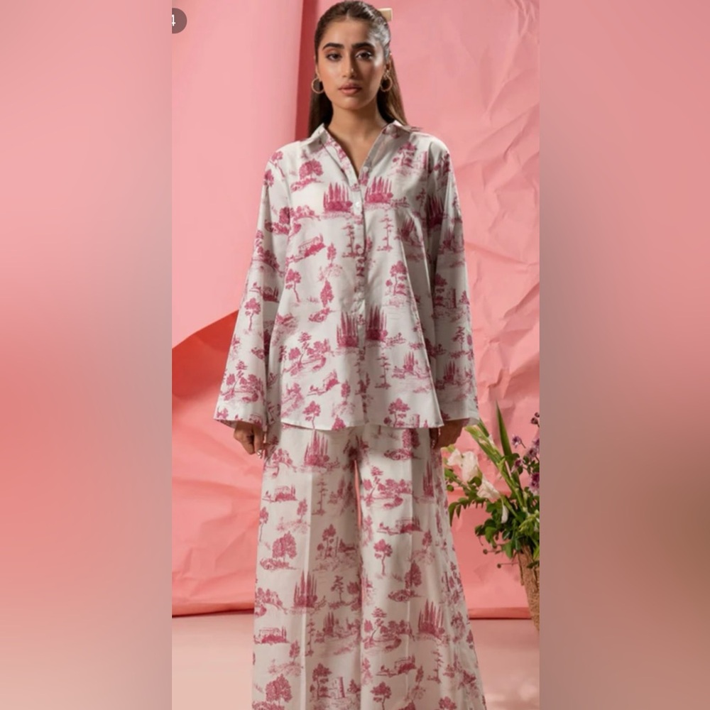 Pakistani Indian co ord set